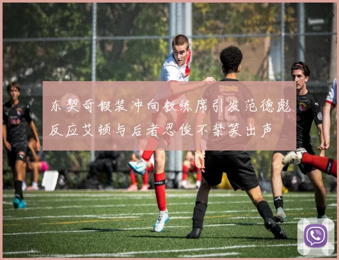 东契奇假装冲向教练席引发范德彪反应艾顿与后者忍俊不禁笑出声