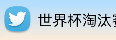 世界杯淘汰赛直播 Logo